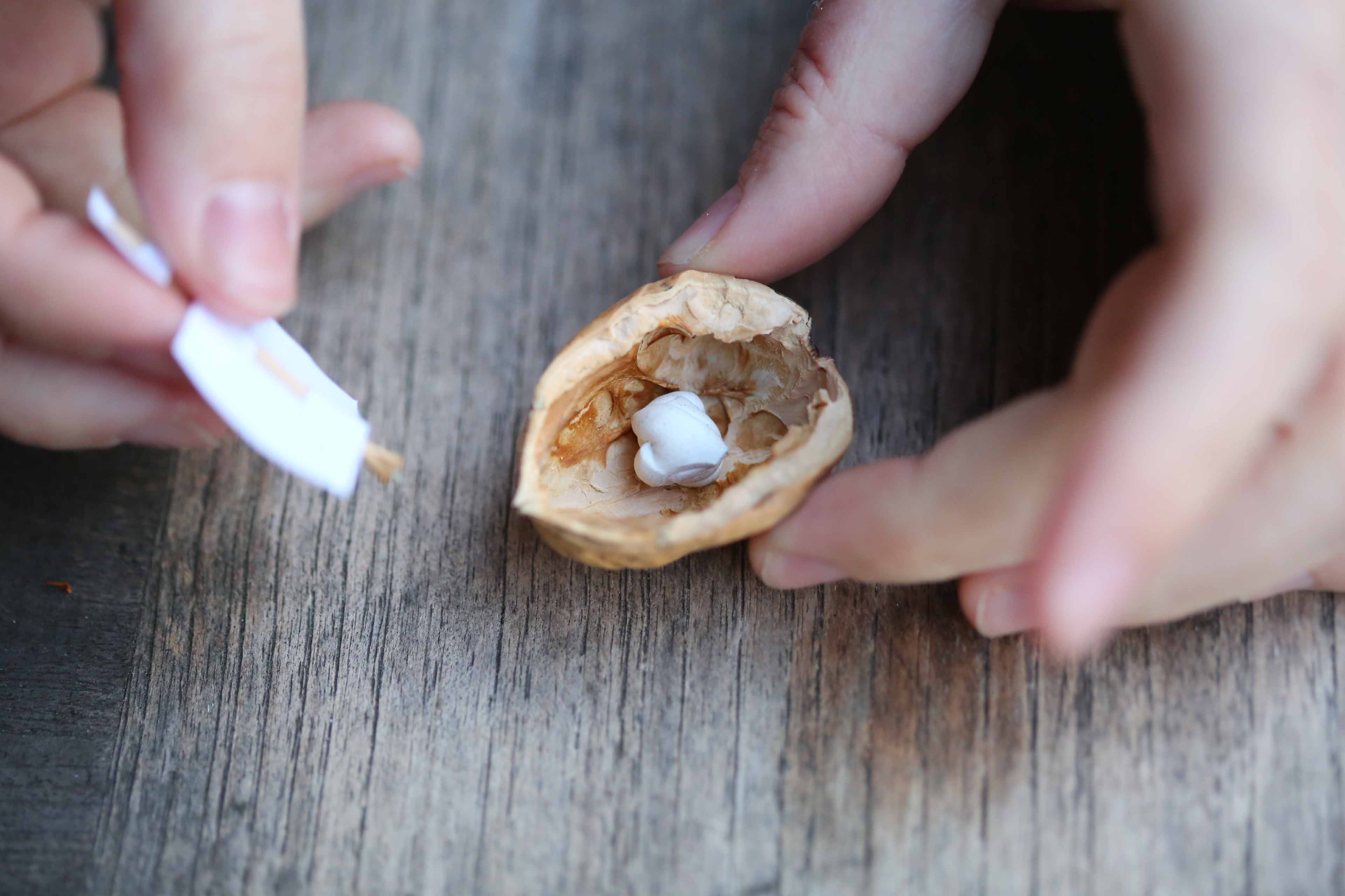 Comment Dessiner Une Coquille De Noix Bateaux à la noix | La Fabrique DIY